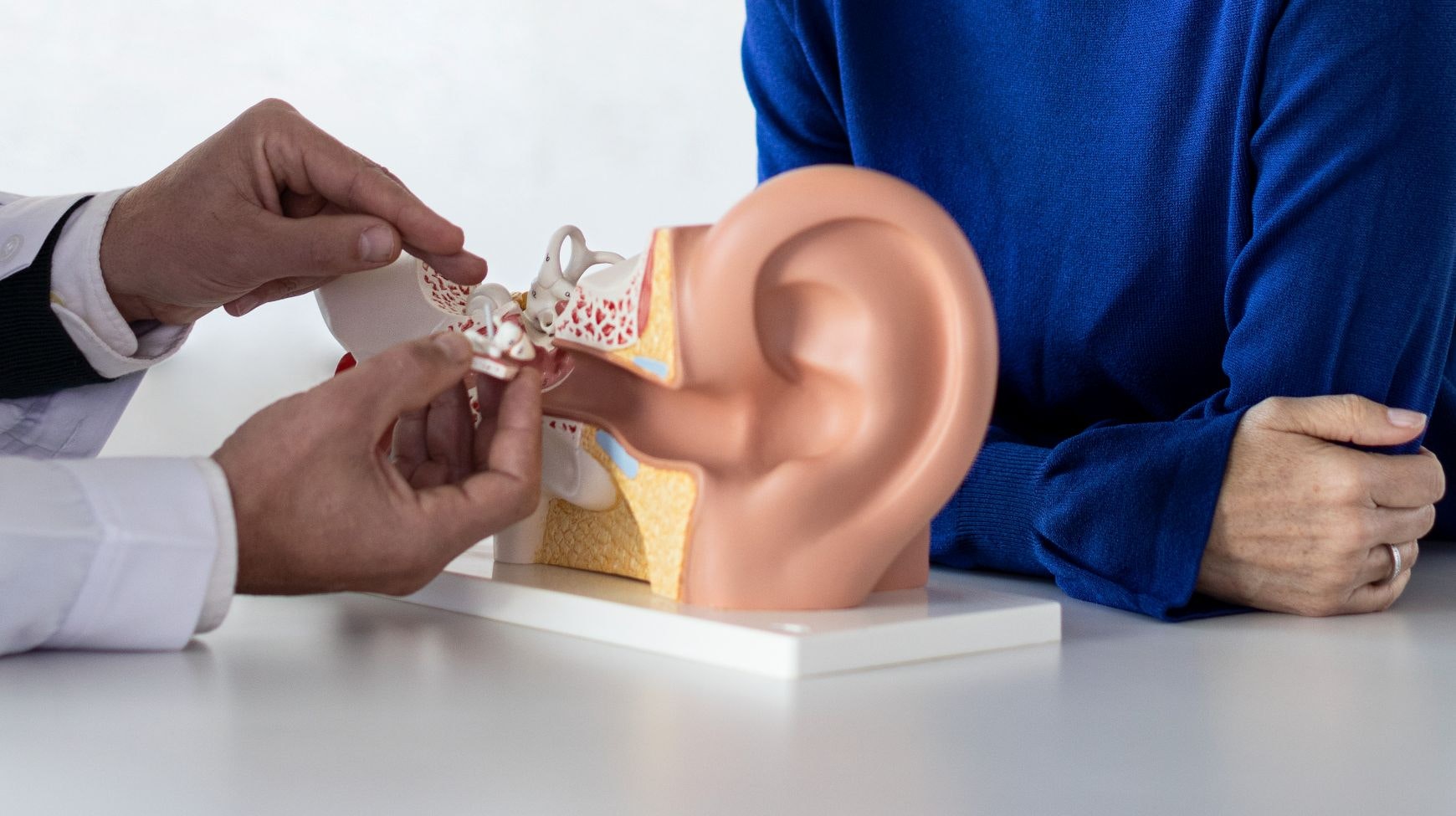 How Hearing Works How Hearing Works