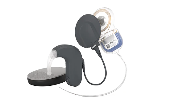 Cochlear Implant System