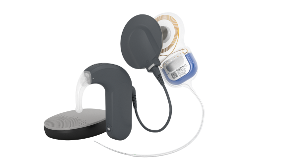 Cochlear Implant System