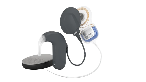 Cochlear Implant System